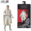 Star Wars The Black Series – Padme Amidala Collectible Action Figure - G.I. Joe Figure